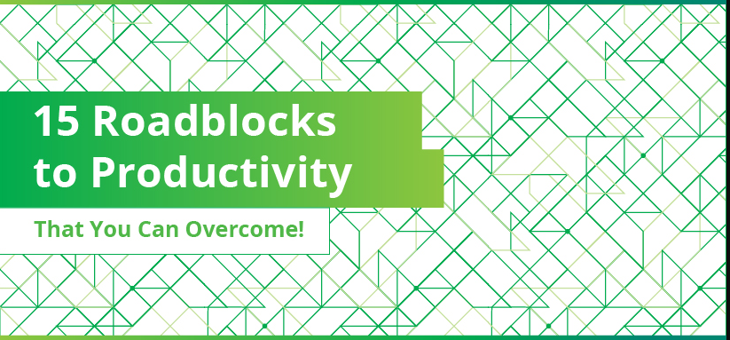 top 15 roadblocks to productivity
