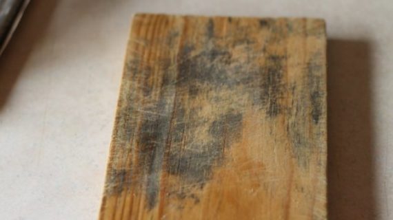 Remove Mold From Wood