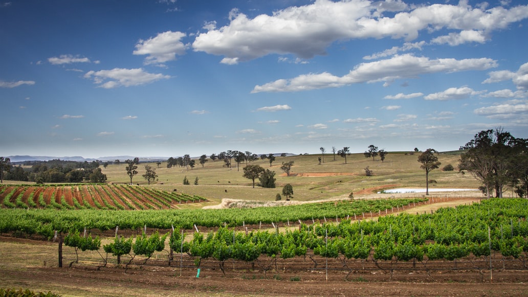 The Hunter Valley Heritage
