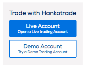 Hankotrade beginners traders